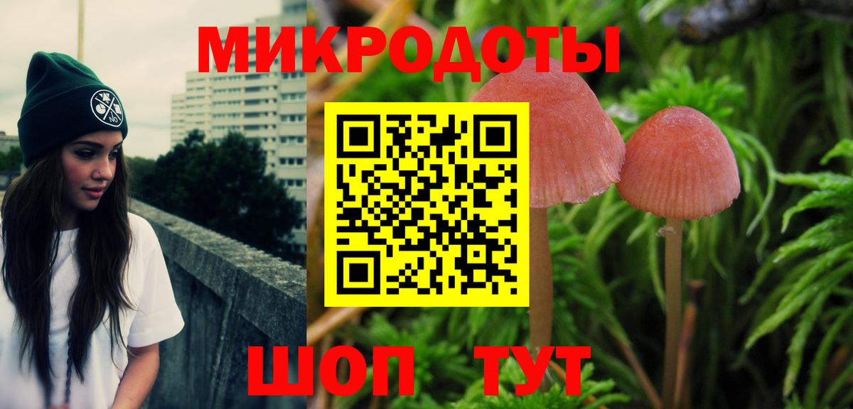 Псилоцибиновые грибы Psilocybe Менделеевск